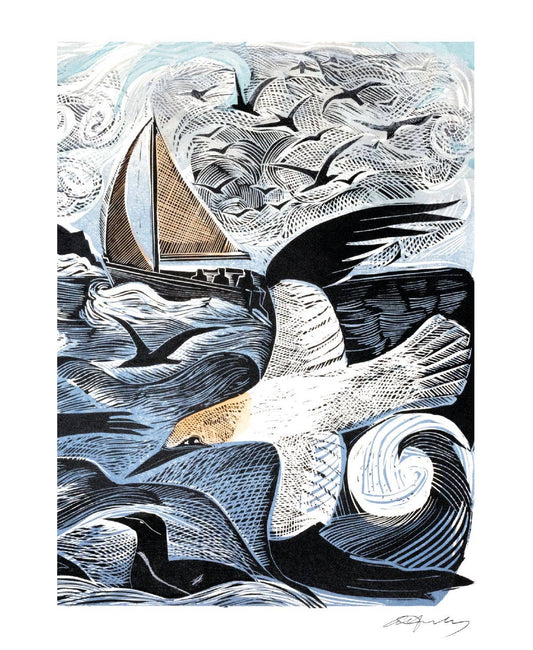 Island Gannets Blank Card