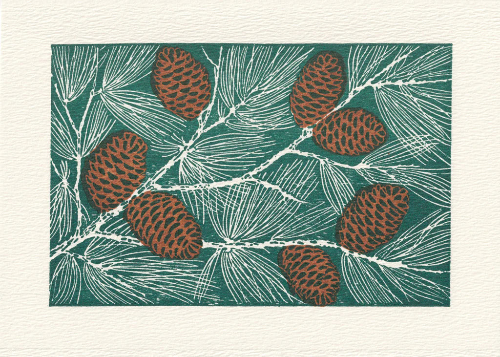 Pinecones Boxed Holiday Cards