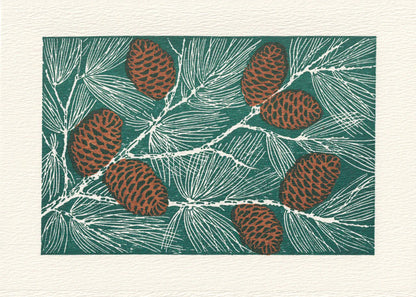 Pinecones Boxed Holiday Cards