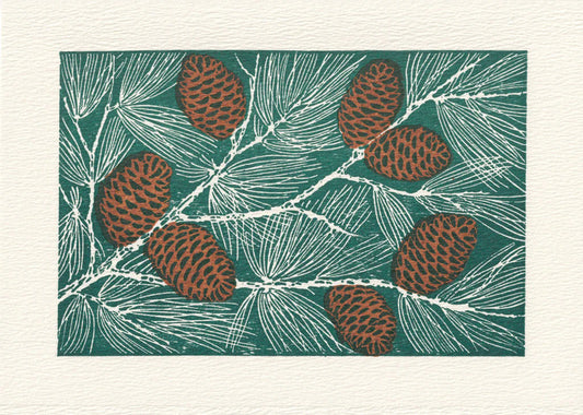 Pinecones Boxed Holiday Cards