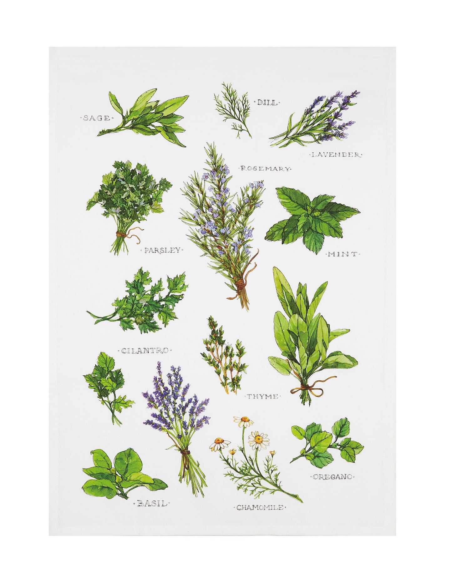 Field Guide to Herbs Tea Towel