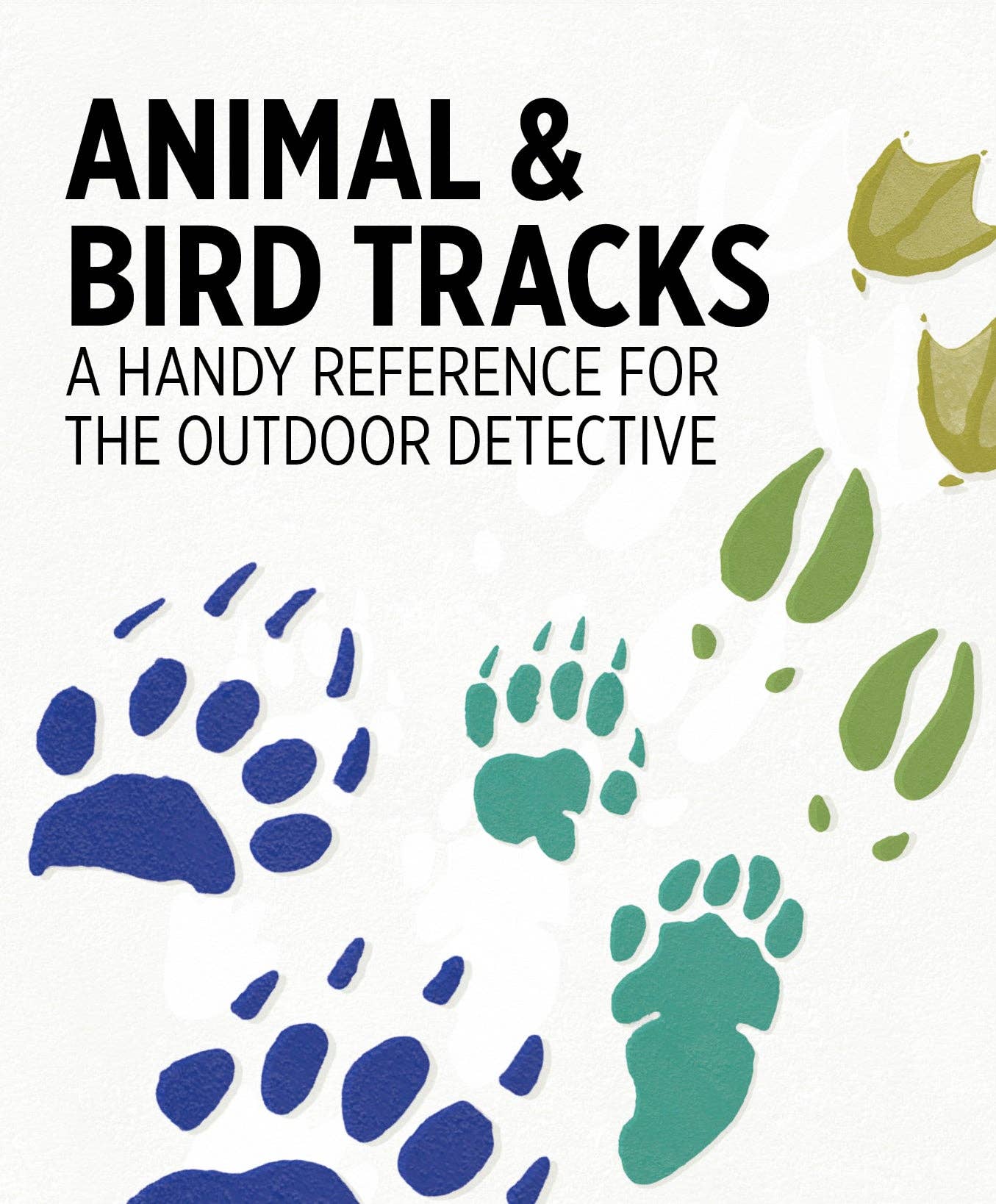 Animal & Bird Tracks Knowledge Cards