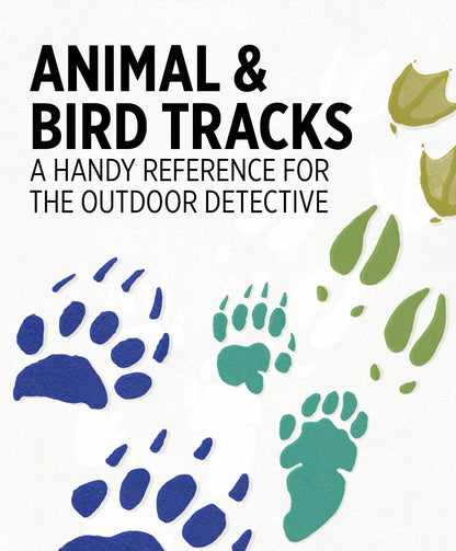 Animal & Bird Tracks Knowledge Cards
