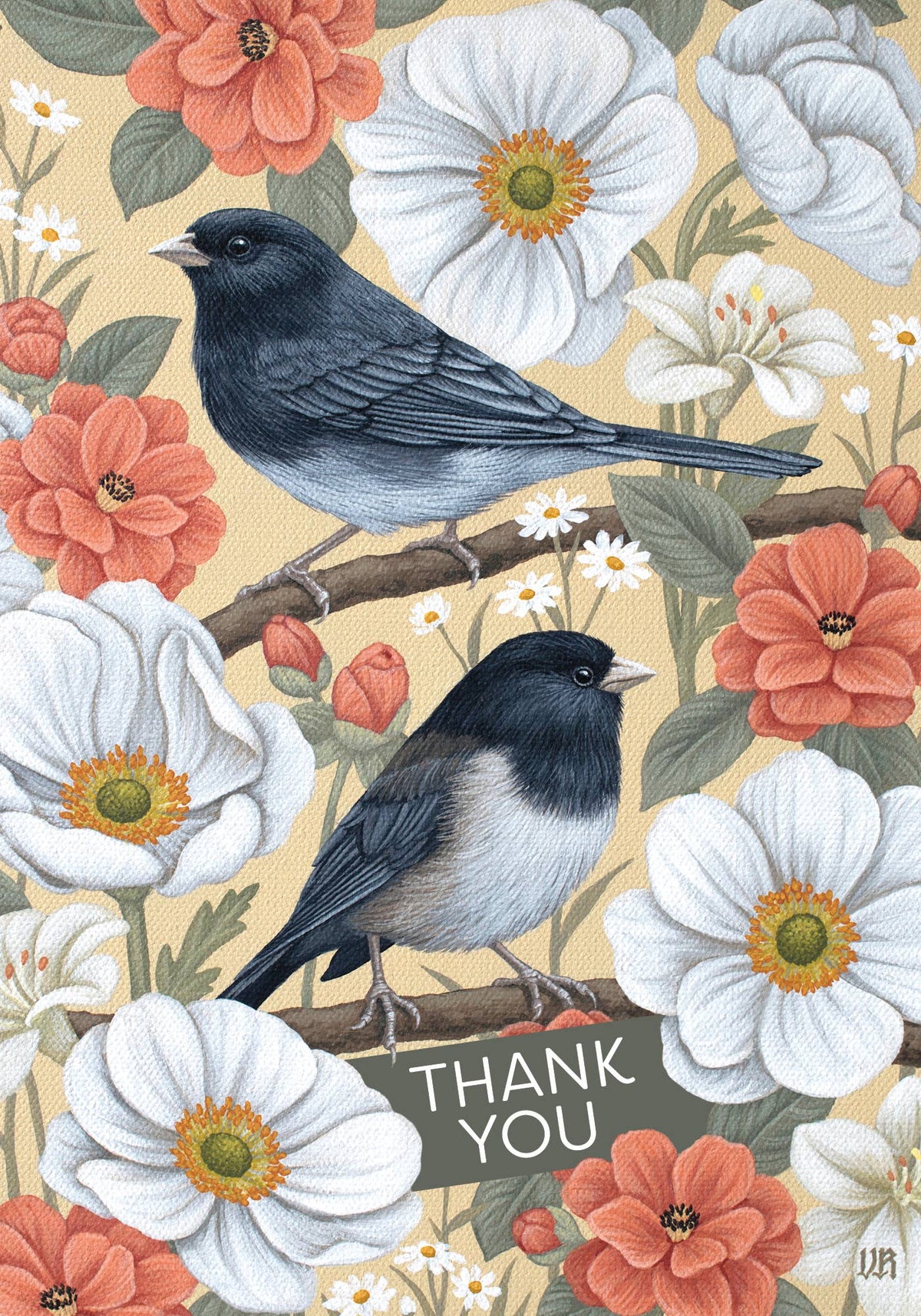 Vasilisa Romanenko: Dark-eyed Juncos Thank You Note Cards