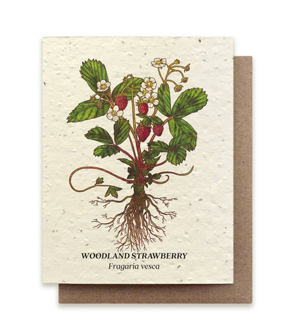 Woodland Strawberry Plantable Wildflower Seed Card