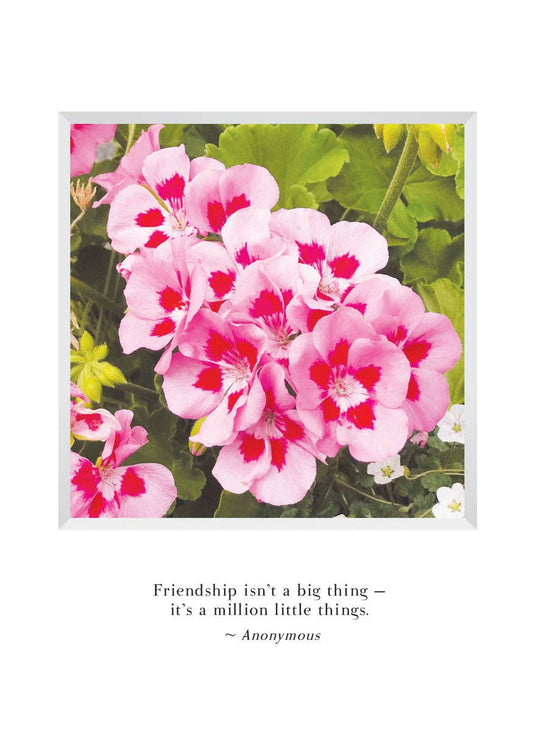 Geraniums Birthday Card & Bookmark
