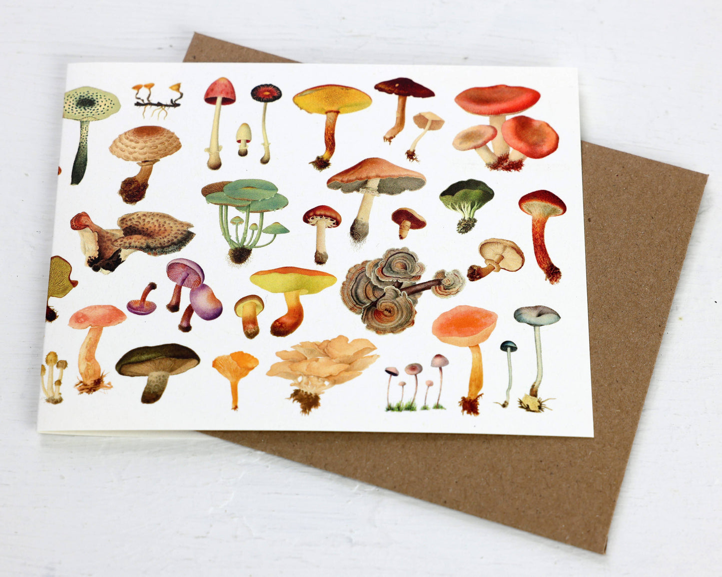History of Fungi Blank Card