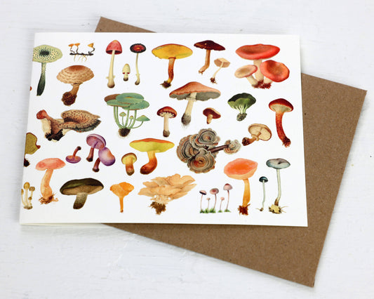 History of Fungi Blank Card