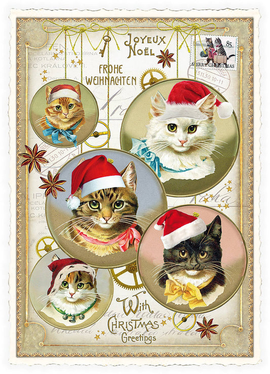 Christmas Cats Holiday Postcard