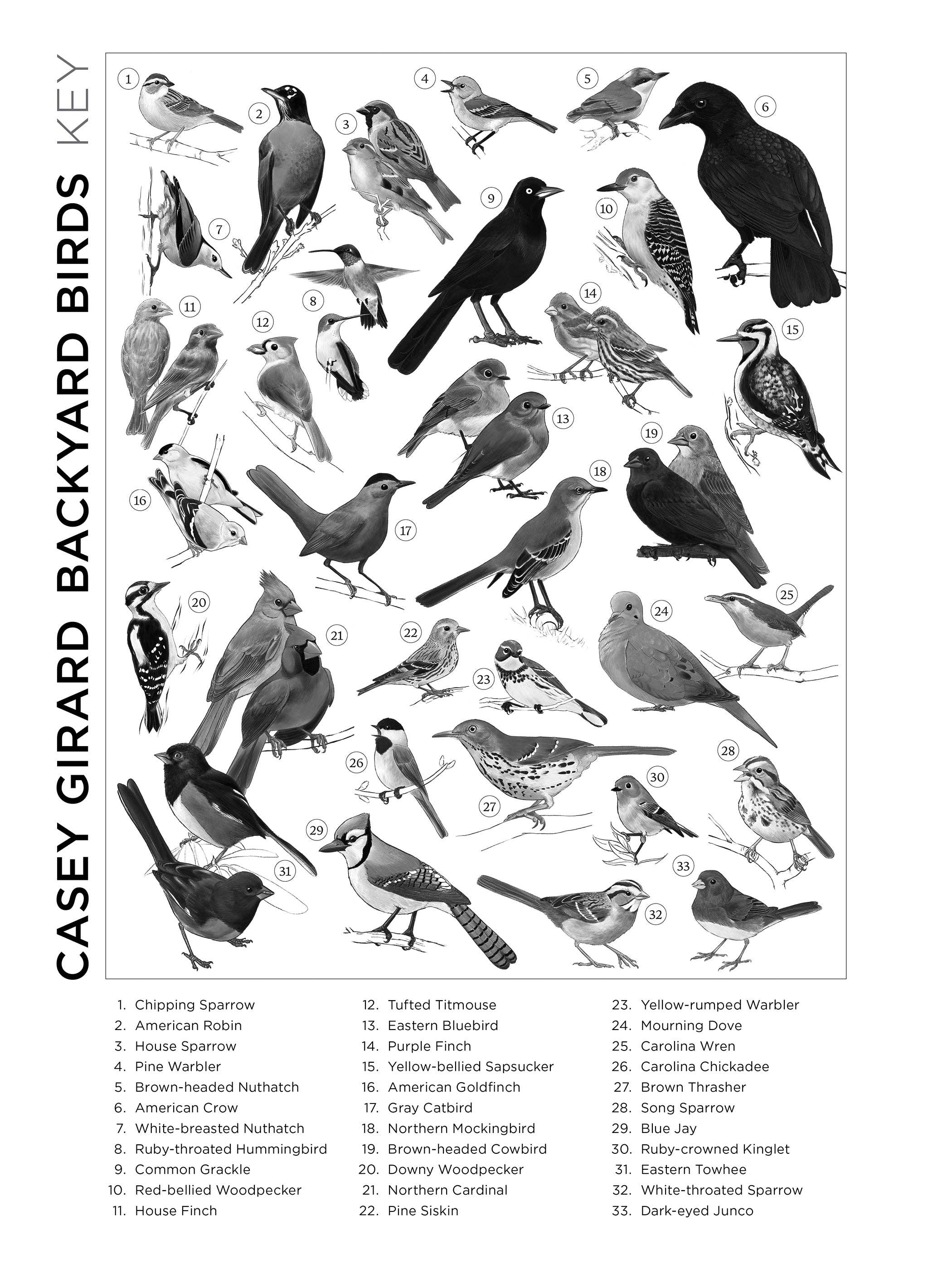 Casey Girard: Backyard Birds Jigsaw Puzzle - 1000pc – Allport Editions