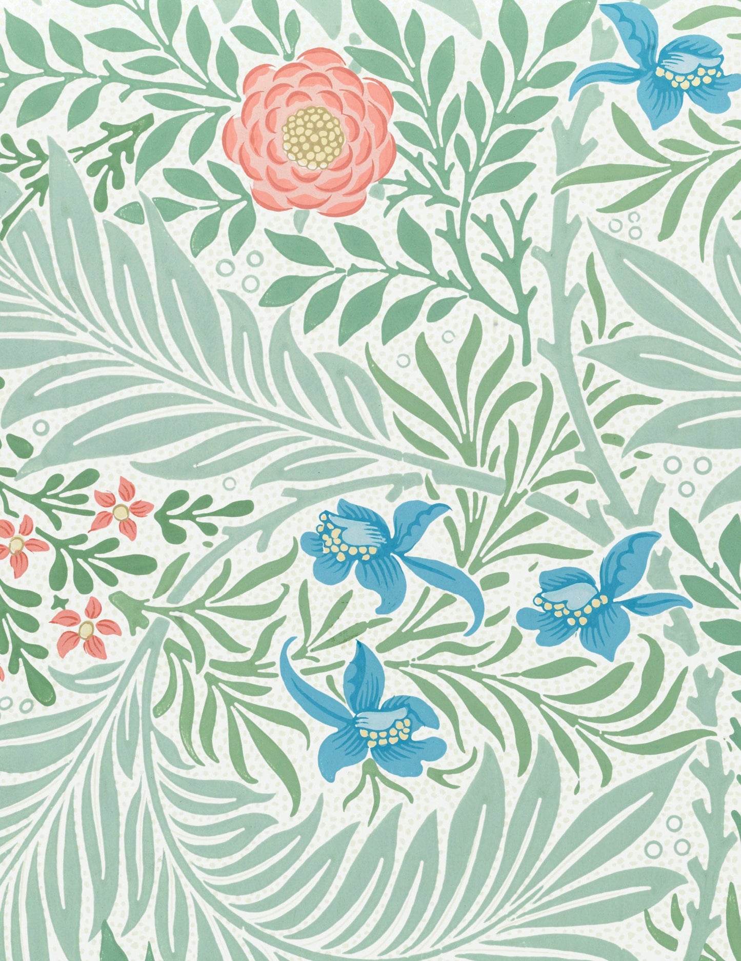 William Morris Keepsake Boxed Note Cards