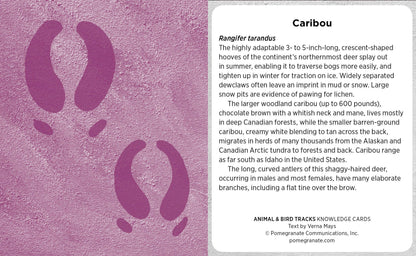 Animal & Bird Tracks Knowledge Cards