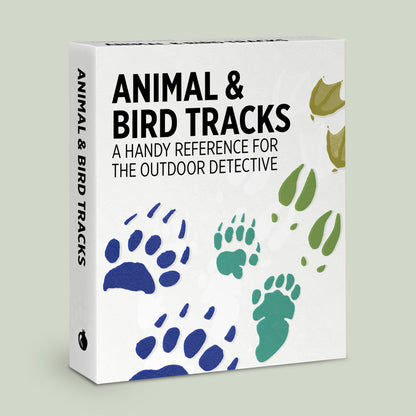 Animal & Bird Tracks Knowledge Cards