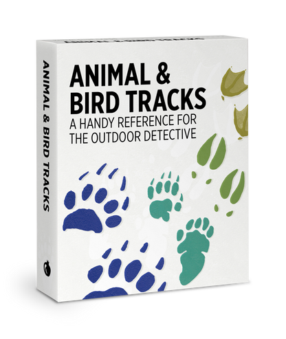 Animal & Bird Tracks Knowledge Cards