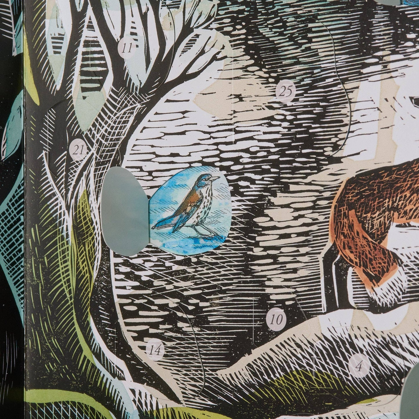 Midnight Fox Advent Calendar