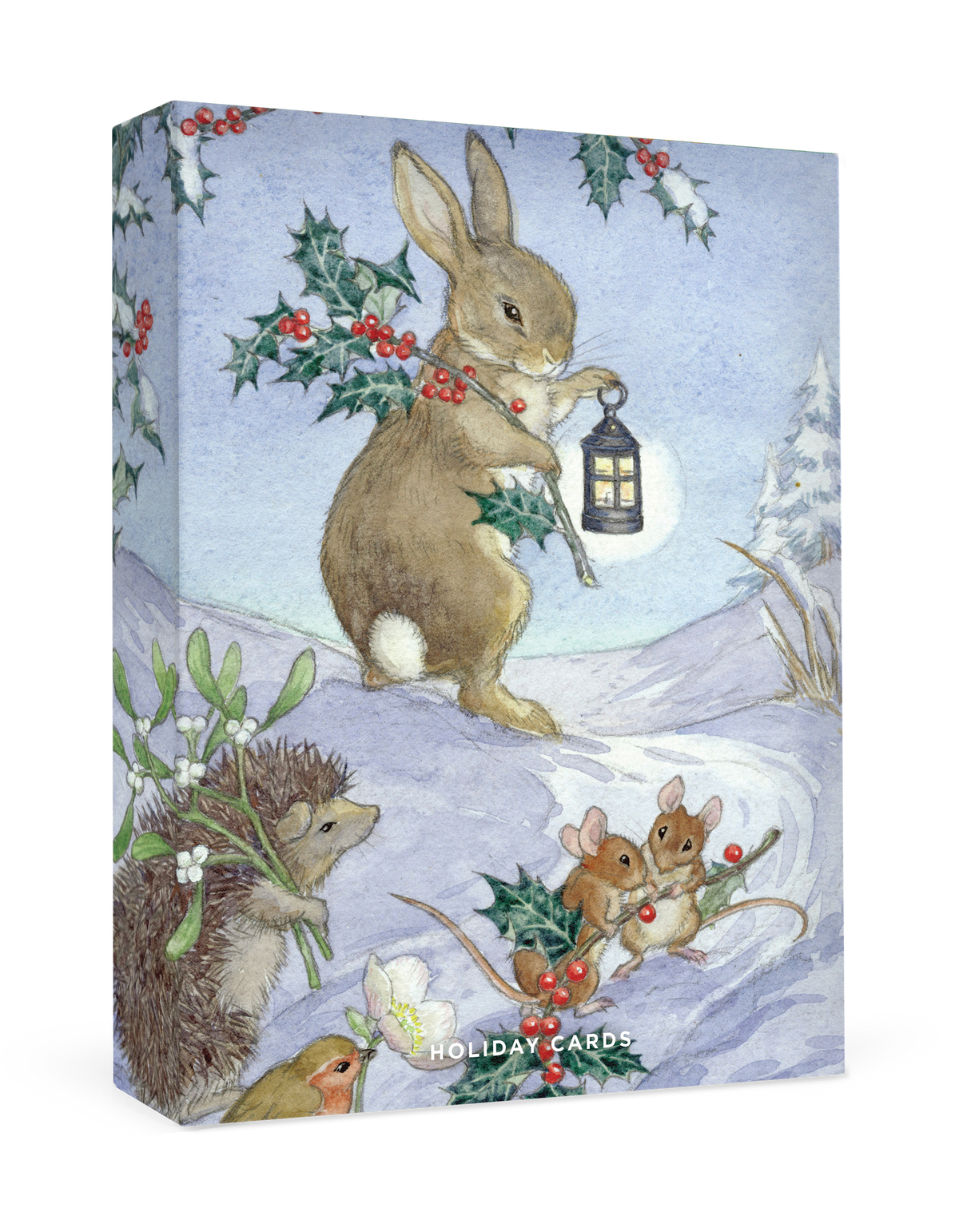 Molly Brett: Christmas Animals Small Holiday Cards