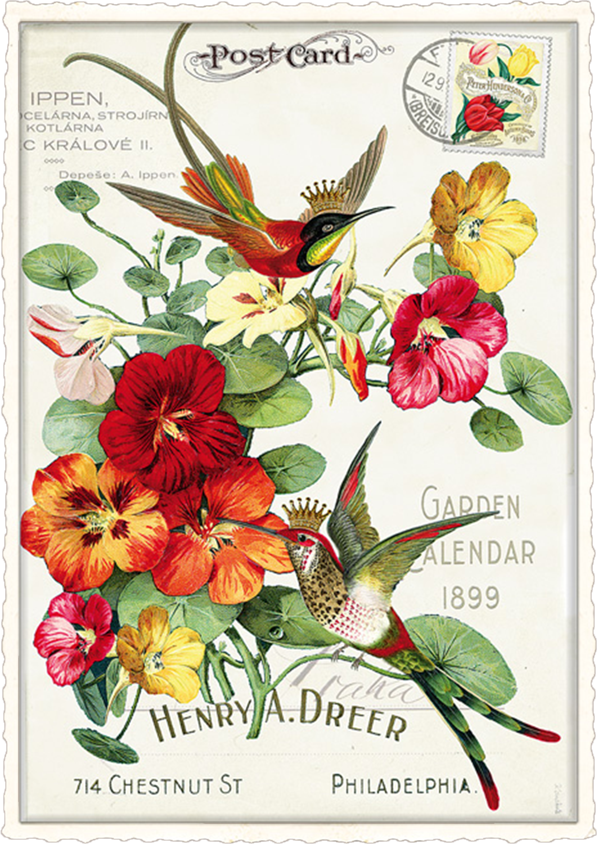 Vintage Bird & Nasturtiums Postcad