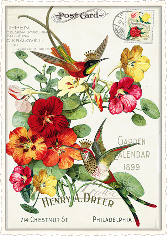 Vintage Bird & Nasturtiums Postcad
