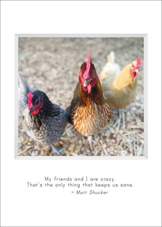 Blue, Sunny, and Daisy Birthday Card & Bookmark