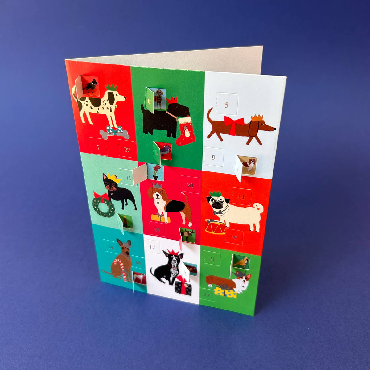 Festive Dog Advent Calendar Holiday Card