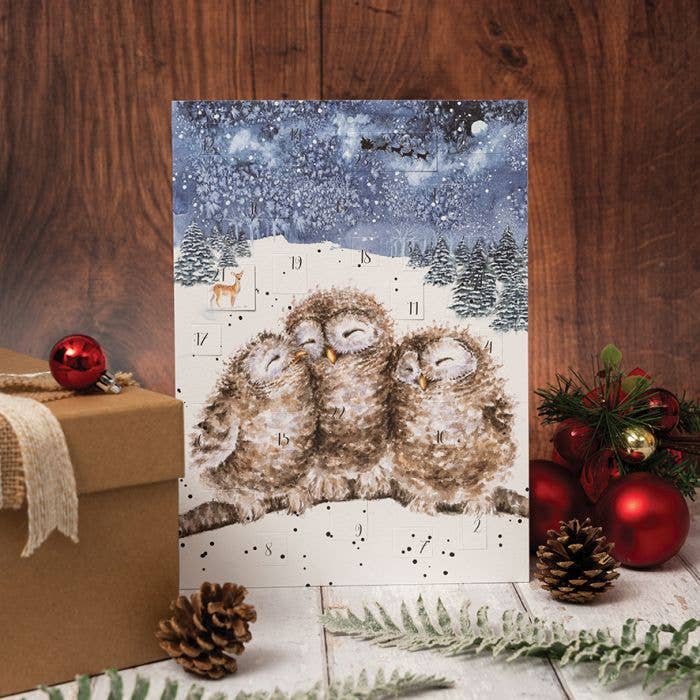 Three Wise Owls Advent Calendar Card