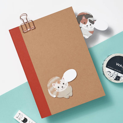 Curious Kittens Book Buddies
