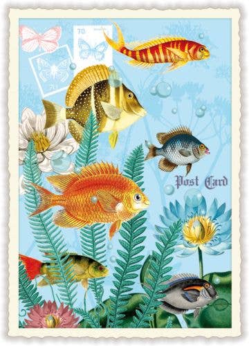 Tropical Fish Postcard