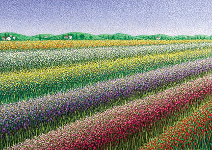 Rainbow Fields Cards