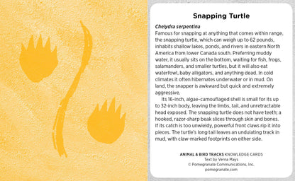 Animal & Bird Tracks Knowledge Cards
