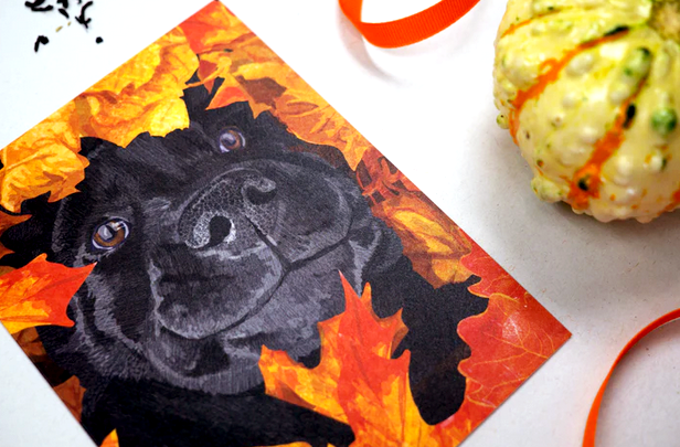 Autumn Pup Cards