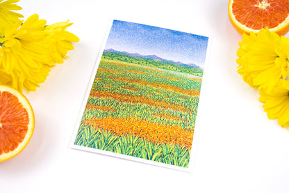 Poppies #2 Card