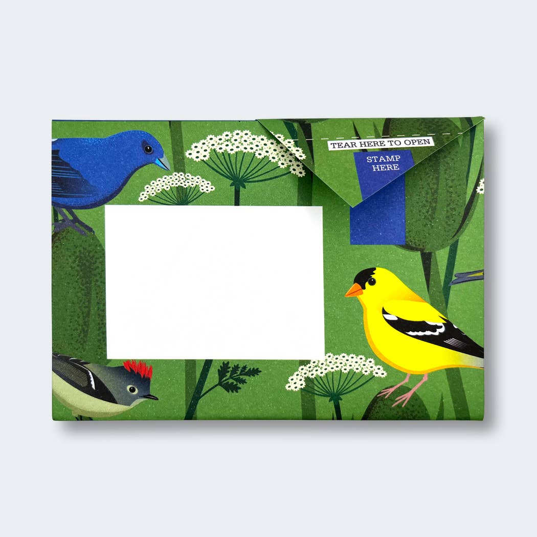 Carnival of Colour Pigeon Folding Letter Pack