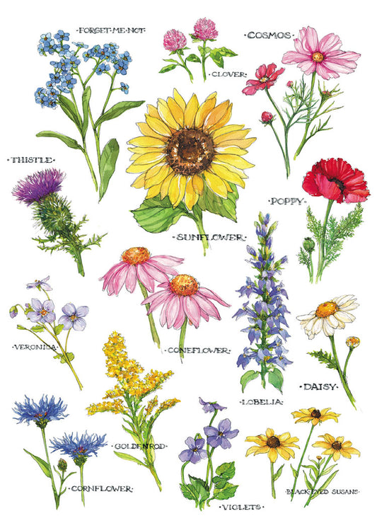 Field Guide to Wildflowers Blank Cards