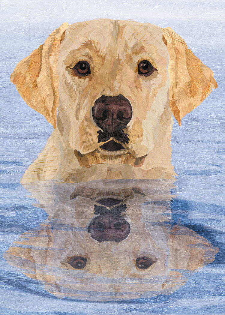 Lake Lab Sympathy Card
