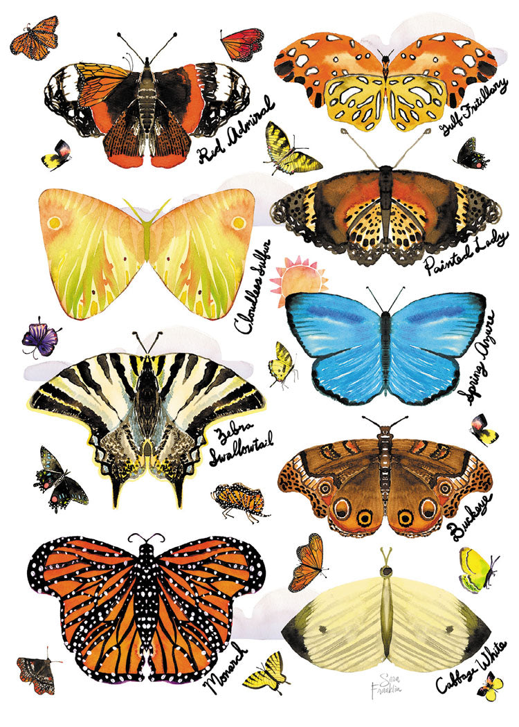 Butterflies of North America Blank Cards