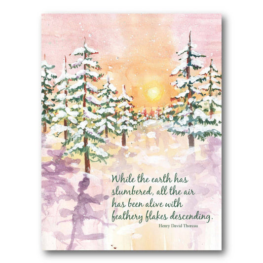 Earth Slumbers Boxed Holiday Cards
