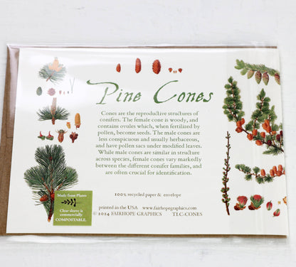 History of Pine Cones Blank Card