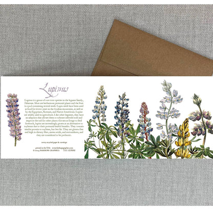 History of Lupinus Blank Card