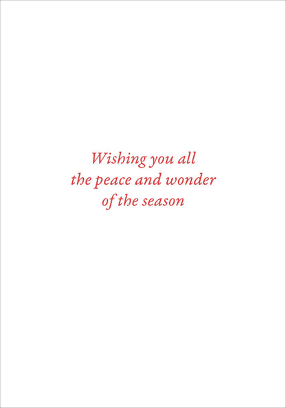 English Robins in Snow Small Boxed Holiday Cards