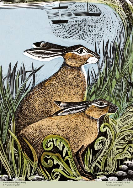 Angela Harding: Rathlin Hares 500 Piece Puzzle