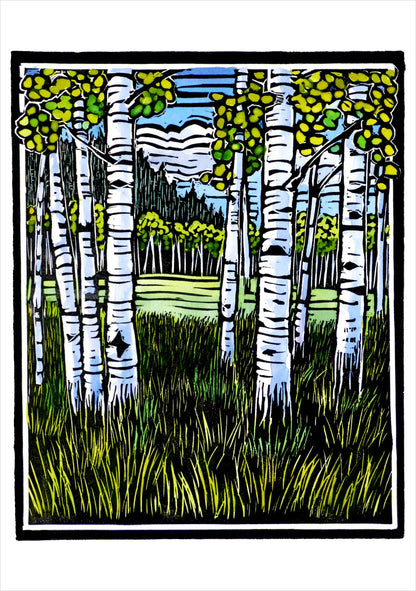 Molly Hashimoto: Trees Assroted Boxed Note Cards