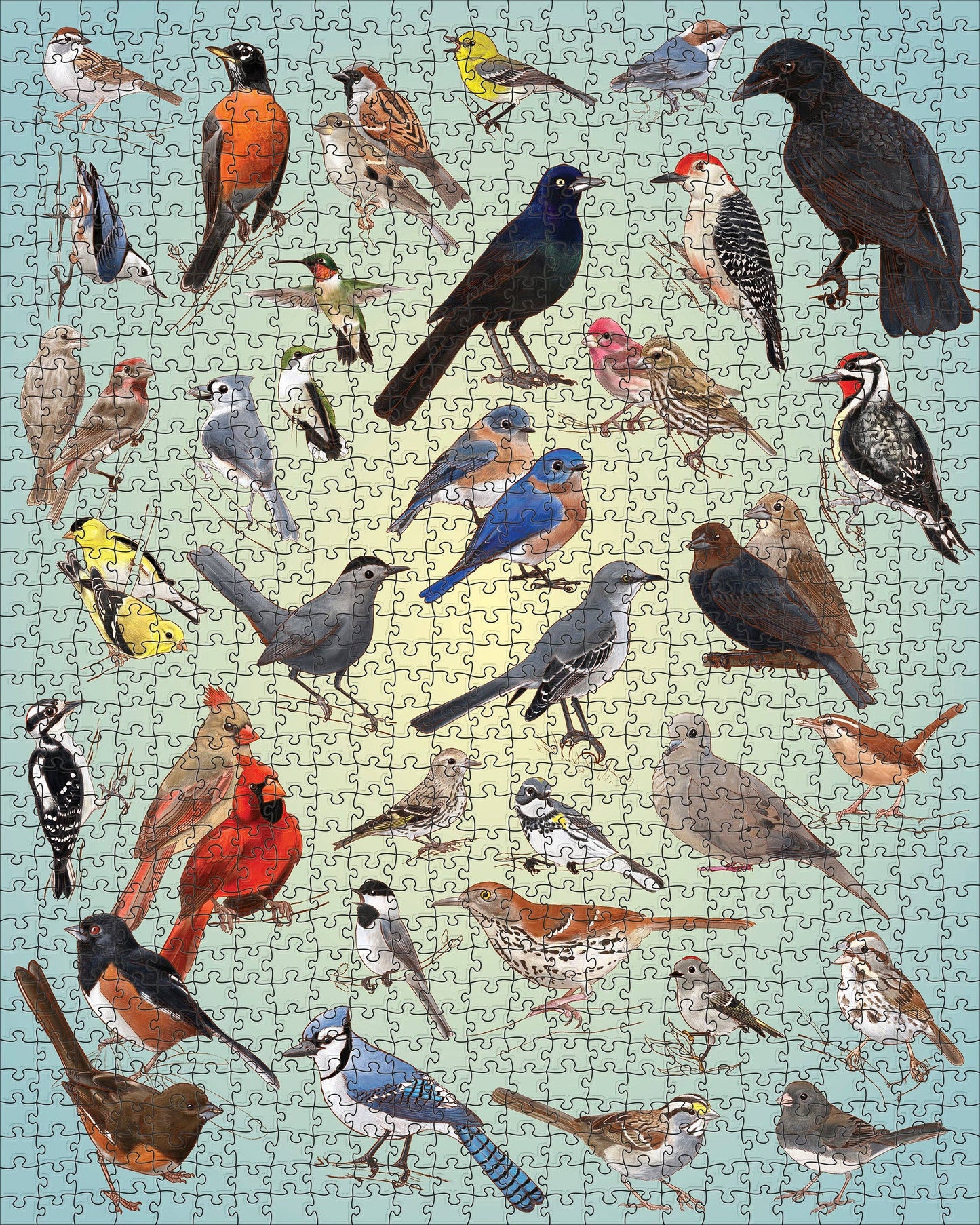 Casey Girard: Backyard Birds Jigsaw Puzzle - 1000pc