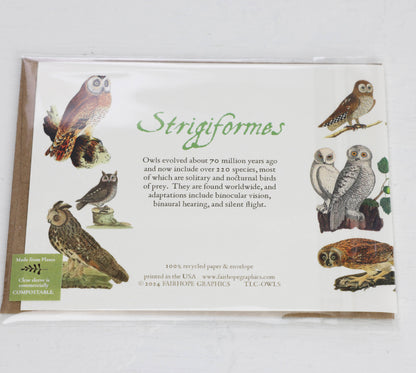 History of Owls Blank Card