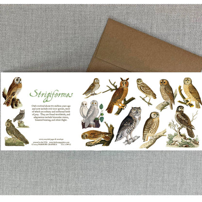 History of Owls Blank Card