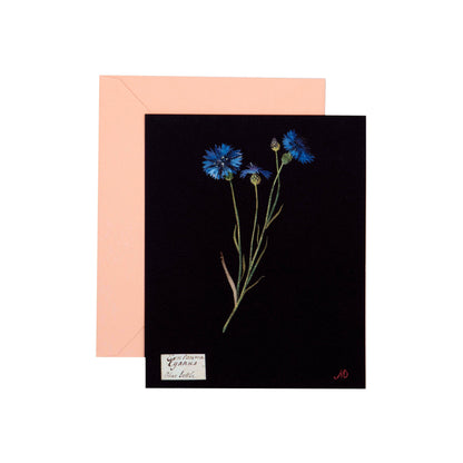 Paper Flowers Flat Cards