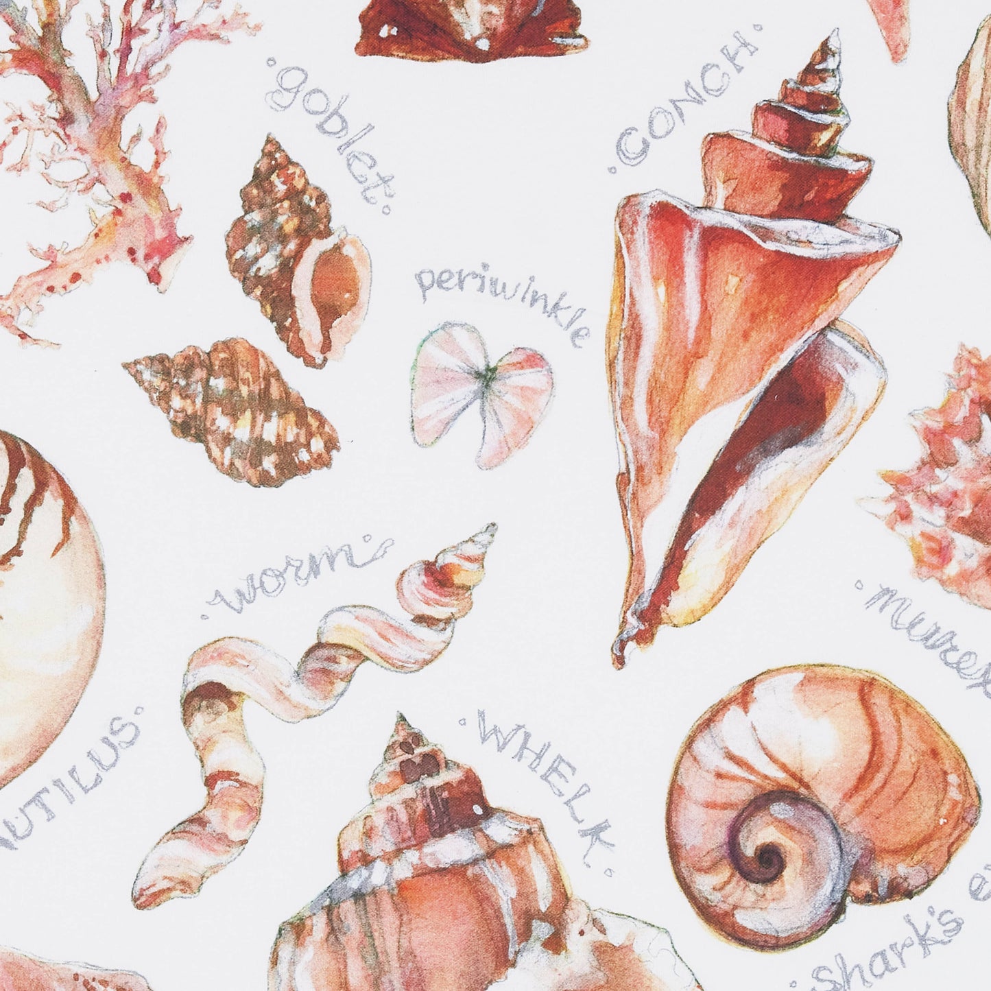 Field Guide to Seashells Tea Towel
