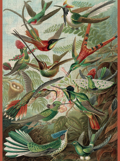 Ernst Haeckel: Hummingbirds Jigsaw Puzzle - 300pc