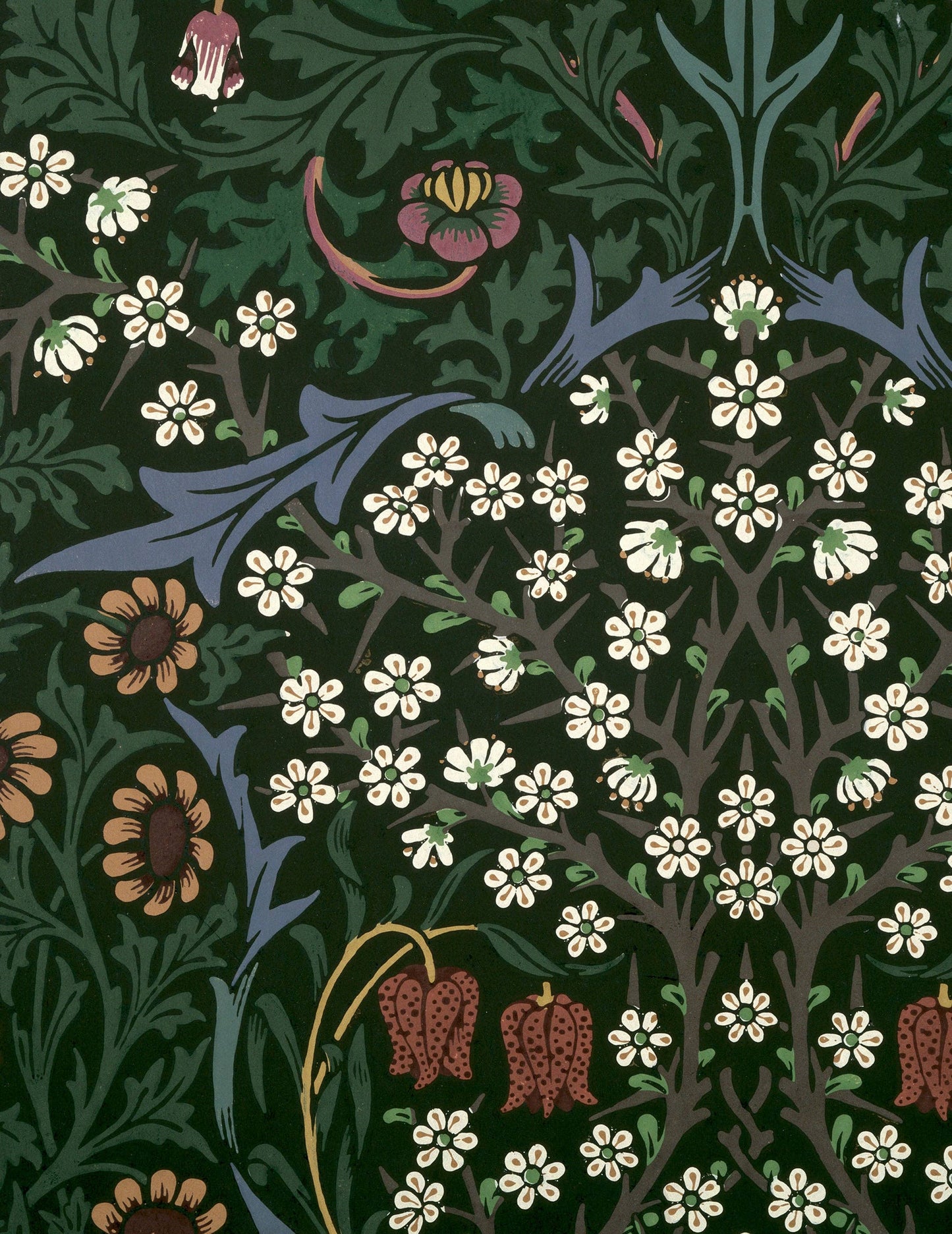 William Morris Keepsake Boxed Note Cards