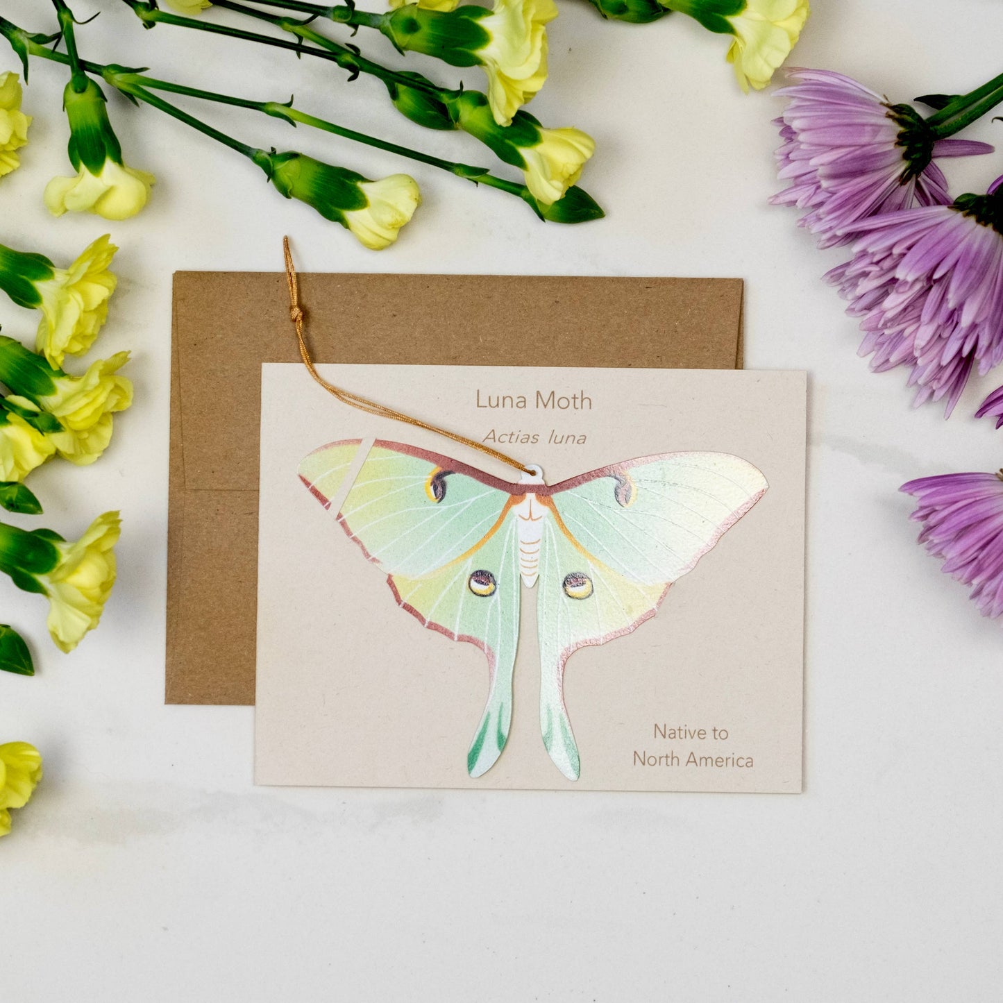Luna Moth Ornament + Notecard