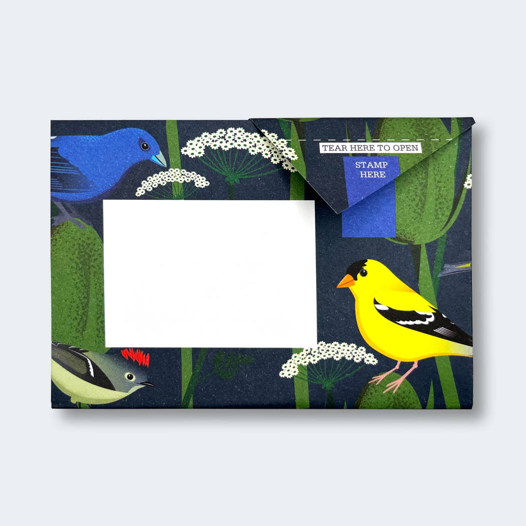 Carnival of Colour Pigeon Folding Letter Pack